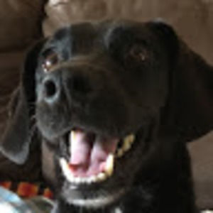 Meet your Posher, The other